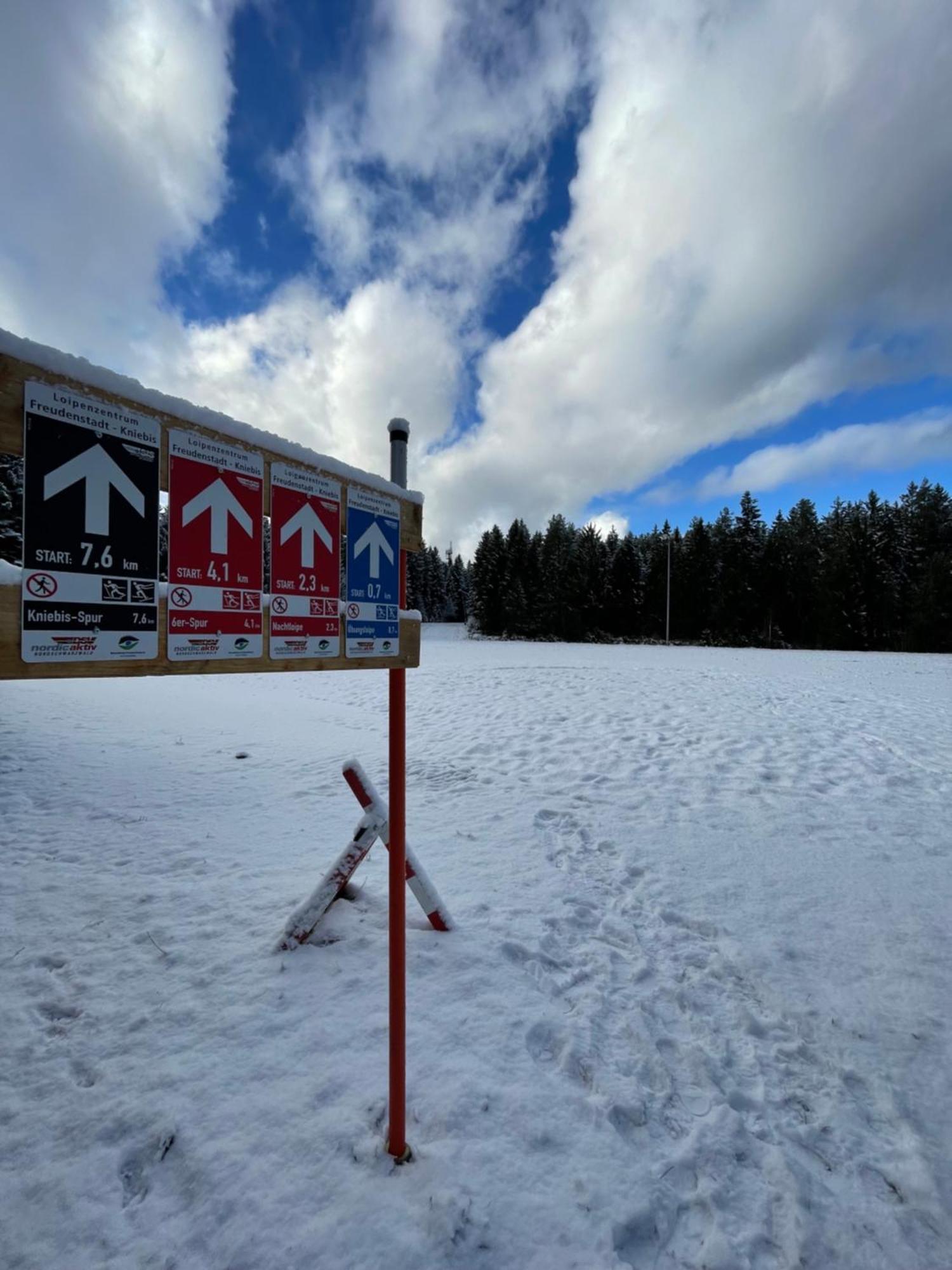 Casa Black Forest - Freudenstadt Kniebis エクステリア 写真
